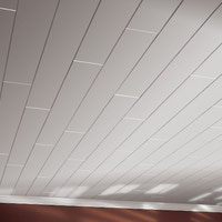 Armstrong Ceiling Planks